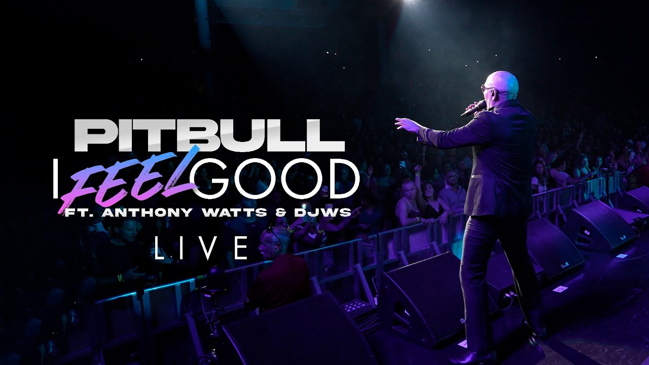 Pitbull - I Feel Good Live Performance
