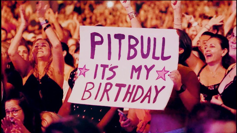 Pitbull X Play-n-skillz - Party Of A Lifetime (visualizer)